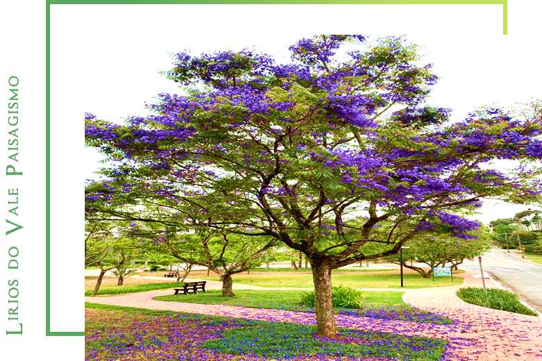 homepaisagismo-compressed